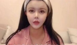 韩安冉粉丝爆料事件视频