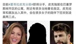 巴西模特苏西爆料视频